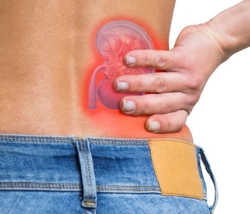 Brazil: One in ten Brazilians have kidney problems